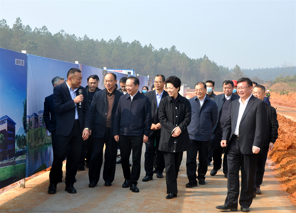 湖南省人大常委会党组书记、副主任乌兰在开云职教城项目建设现场调研考察